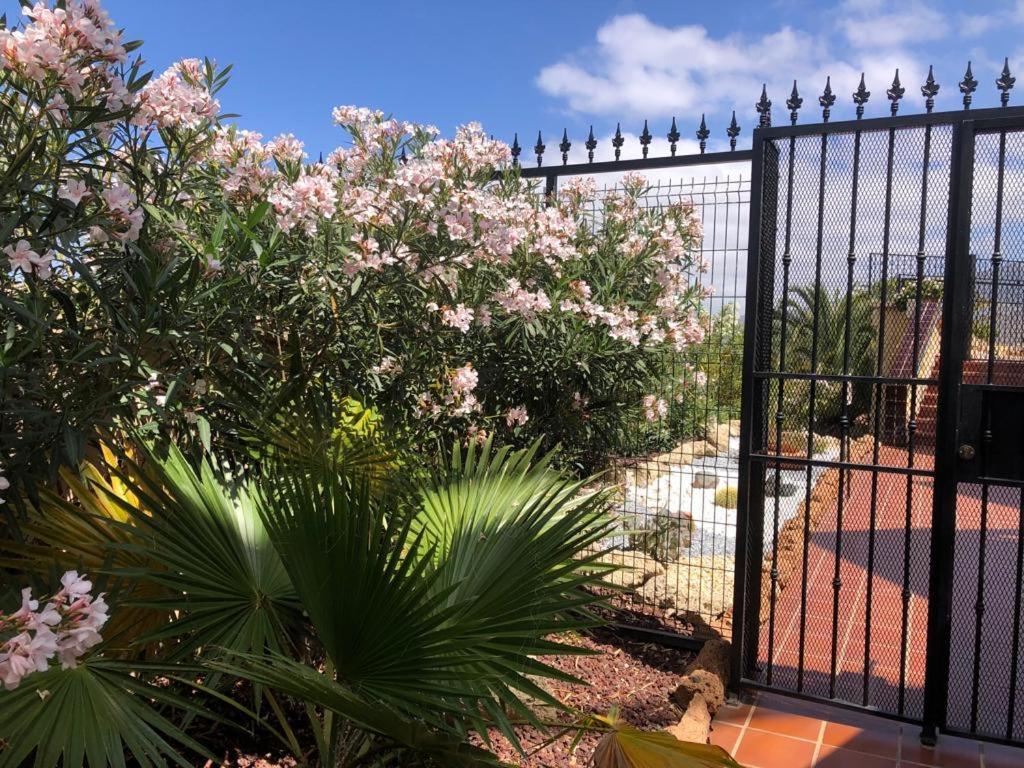 Apartamento Con Impresionantes Vistas Y Piscina Costa Adeje  Exteriér fotografie